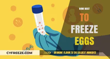 Mastering Egg Freezing: Tips for Perfectly Preserved Eggs Every Time