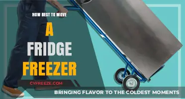 Efficiently Relocating Your Fridge Freezer: Tips and Tricks
