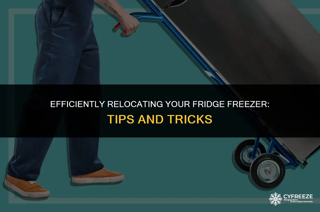 how best to move a fridge freezer