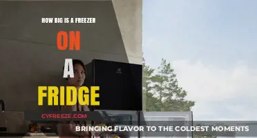 Compact or Spacious? Understanding Your Fridge-Freezer's Size