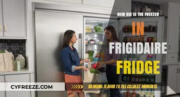 Exploring the Spaciousness of Frigidaire's Freezer Compartment