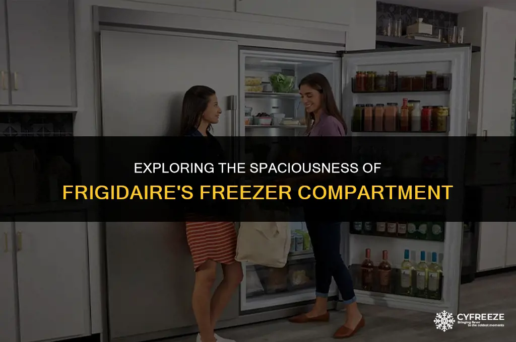 how big is the freezer in frigidaire fridge