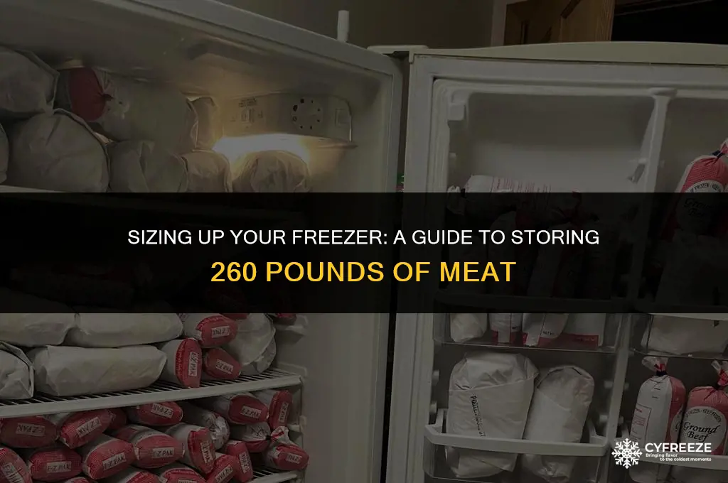 how big of freezer will hold 260 pounds of meat