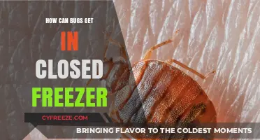 Unwanted Guests: How Bugs Sneak into Sealed Freezers Explained