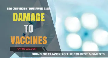 Freezing Temperatures and Vaccine Damage: Understanding the Risks