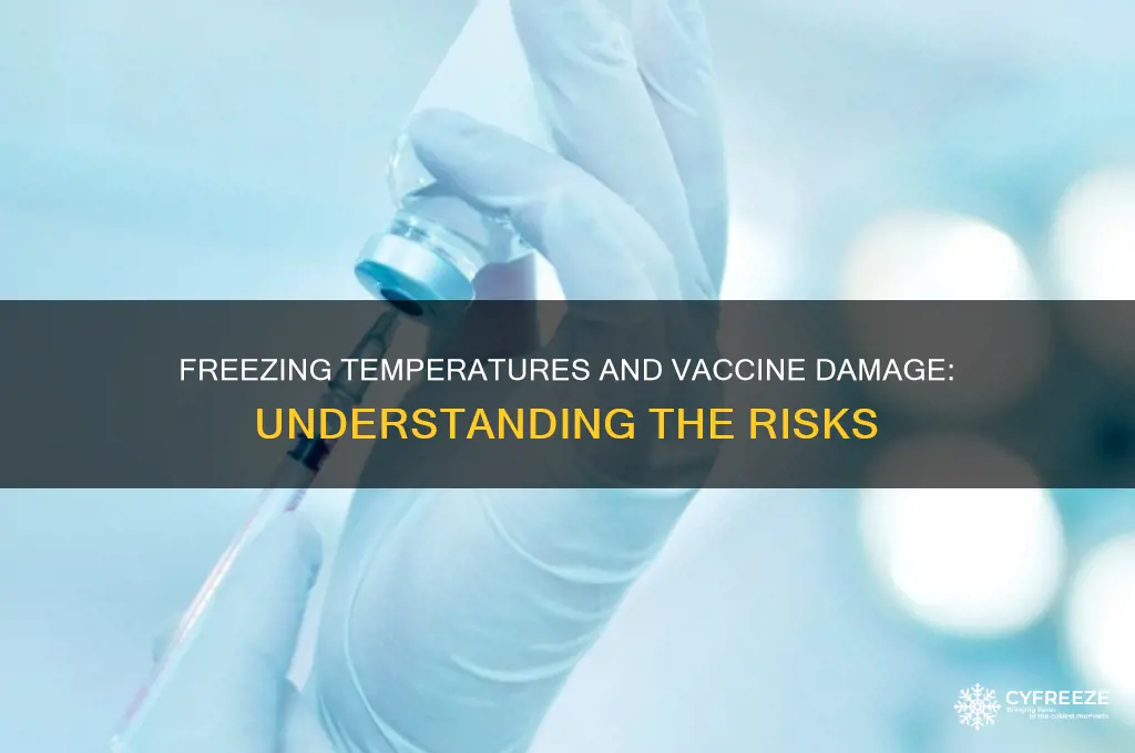 how can freezing temperatures cause damage to vaccines