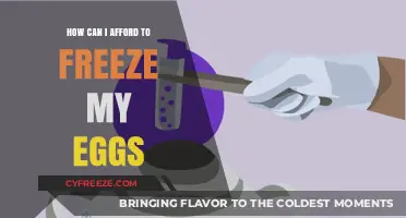 Affording Egg Freezing: Financial Strategies for Preserving Fertility Options