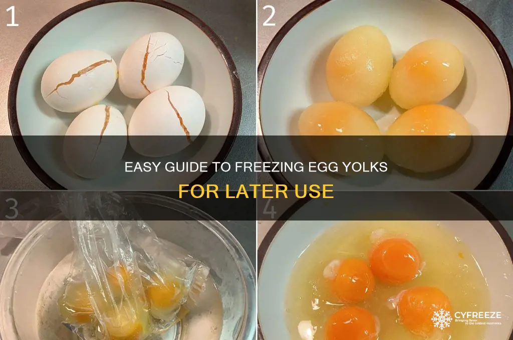 how can i freeze egg yolks