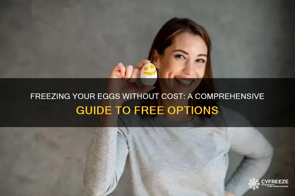 how can i freeze my eggs for free