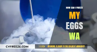 Egg Freezing in WA: Your Guide to Preserving Fertility Options