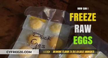 Freezing Raw Eggs: A Simple Guide to Preserve Freshness