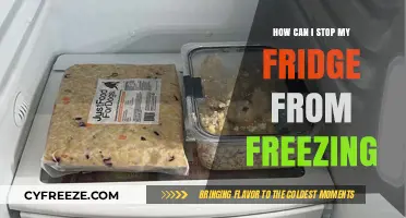 Keep Your Fridge Frost-Free: Tips to Prevent Freezing