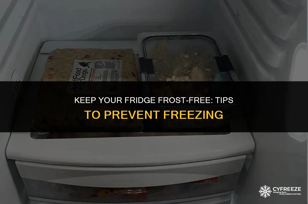 how can i stop my fridge from freezing
