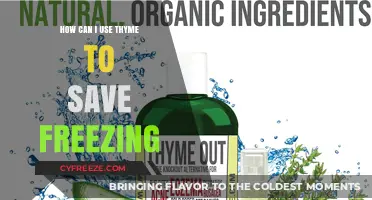 Thyme-Saving Tips: How to Use Thyme to Prevent Freezing