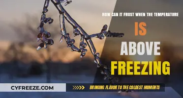 Frost Above Freezing: Understanding the Science Behind Unexpected Frost Formation