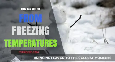 Deadly Cold: Understanding Fatal Risks of Freezing Temperatures and Hypothermia