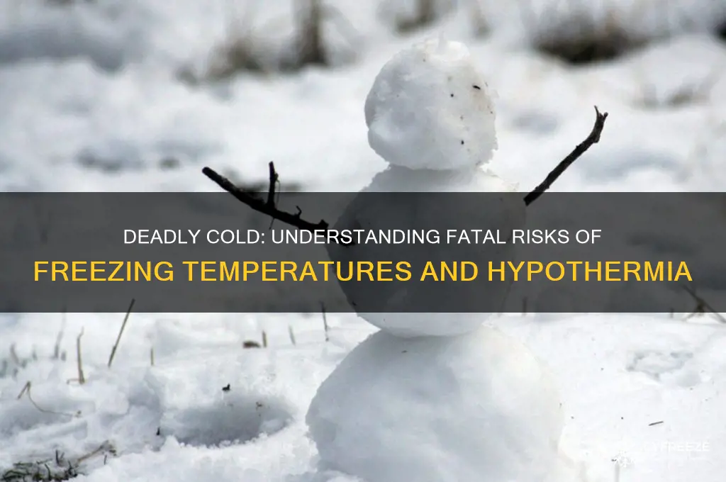 how can you die from freezing temperatures