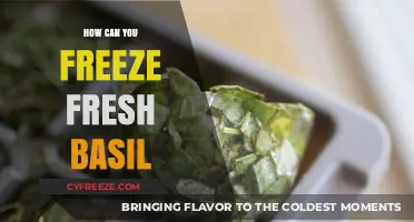 Preserve the Flavor: A Guide to Freezing Fresh Basil