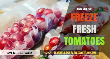 Preserving Summer's Bounty: A Guide to Freezing Fresh Tomatoes