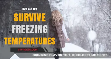 Surviving Extreme Cold: Essential Tips for Freezing Temperatures