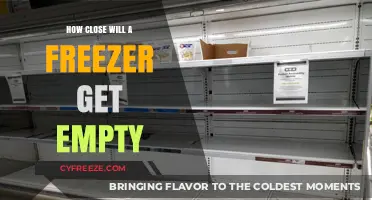 The Inevitable Emptiness: A Freezer's Journey to Nothingness
