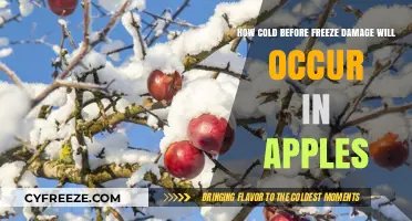Chilling Thresholds: When Apples Face Freeze Damage Risk