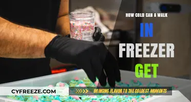 Extreme Temperatures: How Cold Can a Walk-In Freezer Really Get?