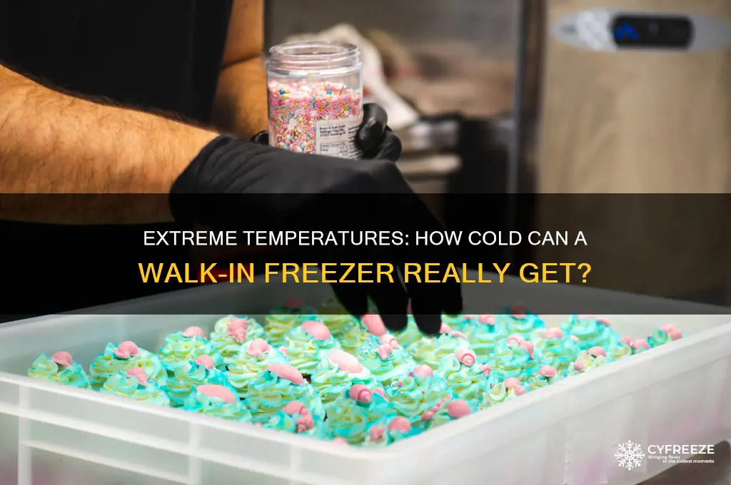 how cold can a walk in freezer get