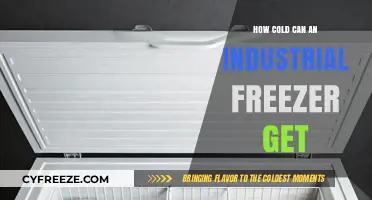 Extreme Temperatures: How Cold Can Industrial Freezers Really Get?