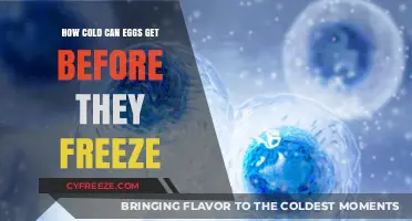 Chilling Truth: At What Temperature Do Eggs Freeze Solid?