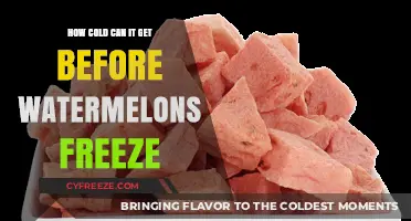 Watermelons and Winter: Understanding Freezing Temperatures for Juicy Fruits