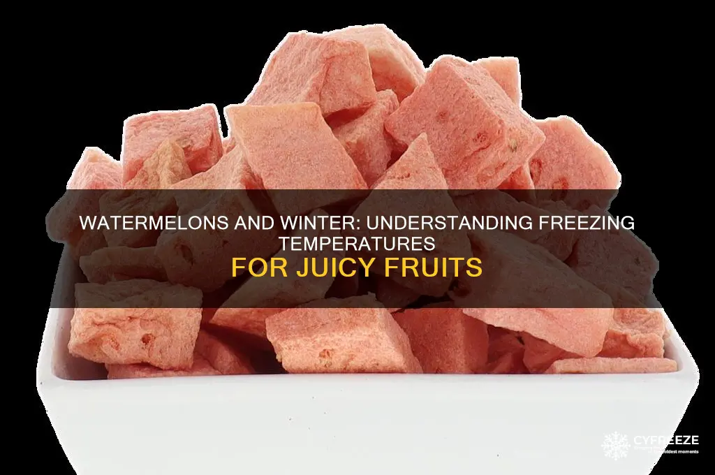 how cold can it get before watermelons freeze