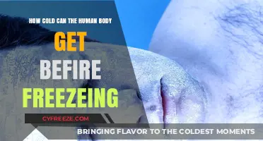 Human Body's Freezing Point: How Cold Can We Survive?