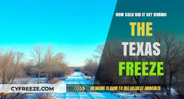 Texas Freeze: Record-Breaking Cold Temperatures and Their Impact