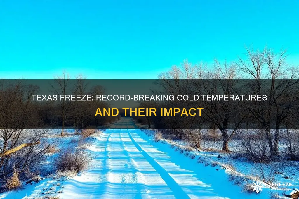 how cold did it get during the texas freeze