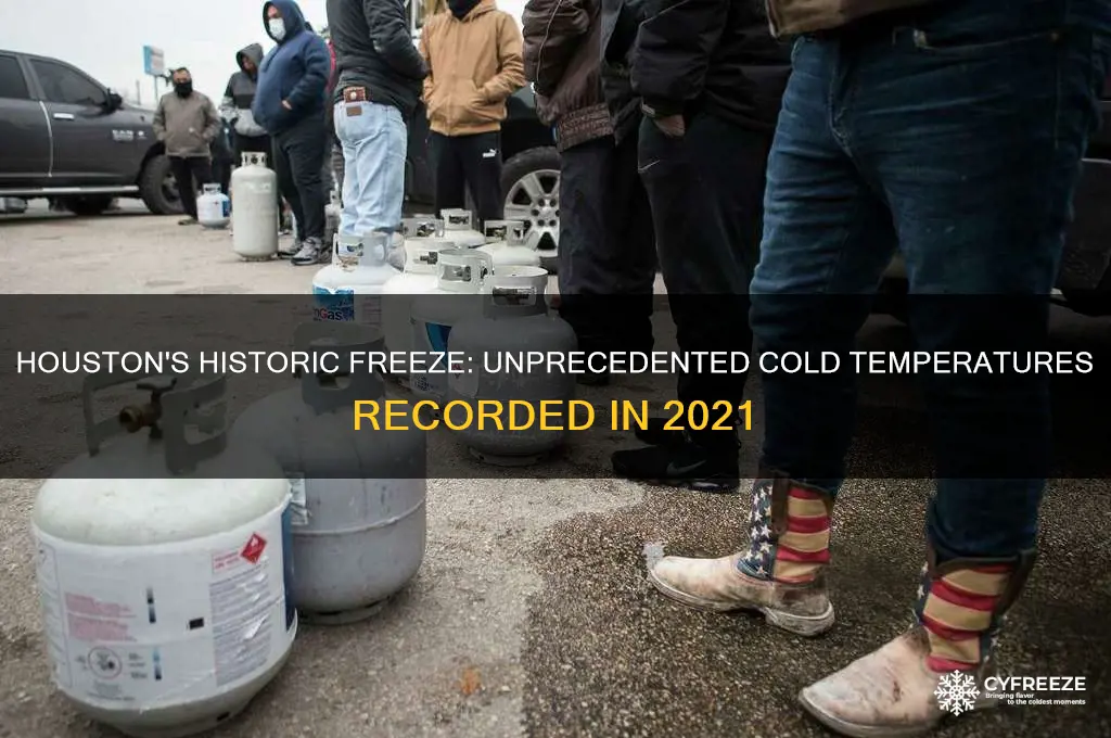 how cold did it get in houston during the freeze