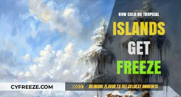 Can Tropical Islands Freeze? Exploring Their Lowest Temperatures