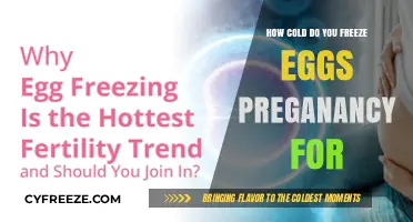 Optimal Egg Freezing Temperatures for Pregnancy Success: A Comprehensive Guide