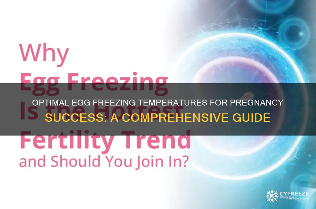 how cold do you freeze eggs preganancy for
