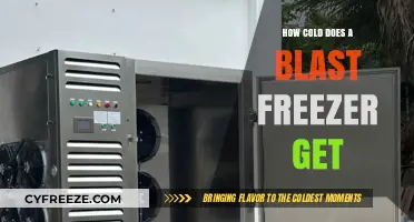 Chilling Facts: How Cold Does a Blast Freezer Actually Get?