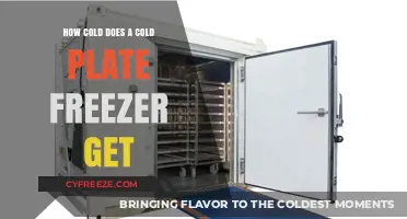 Chilling Facts: Cold Plate Freezer Temperatures Explained and Optimized