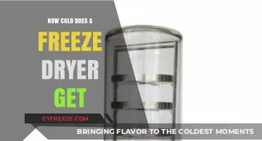 Exploring Freeze Dryer Temperatures: How Cold Do They Really Get?