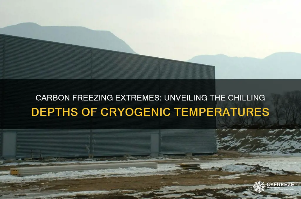 how cold does carbon freezing get