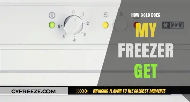 Understanding Your Freezer's Temperature: How Cold Does It Really Get?