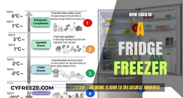 Chill Facts: Unveiling the Frosty Depths of Your Fridge Freezer