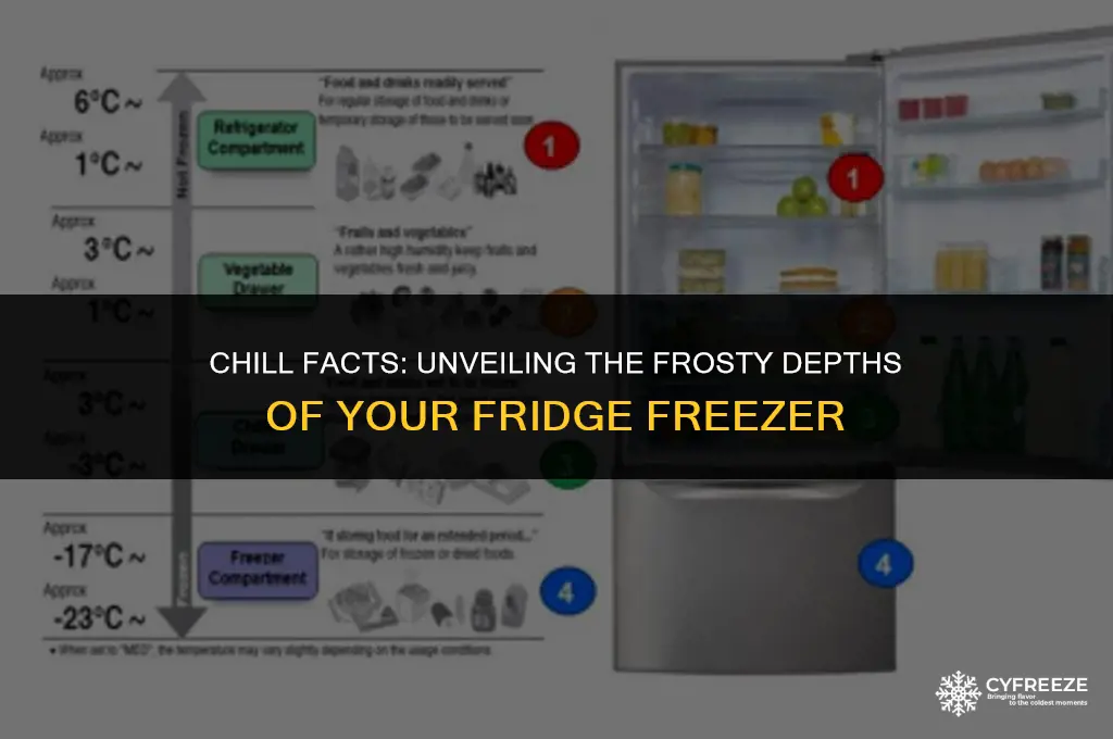 how cold is a fridge freezer