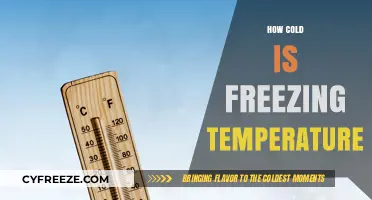 Understanding Freezing Temperatures: How Cold Does It Really Get?