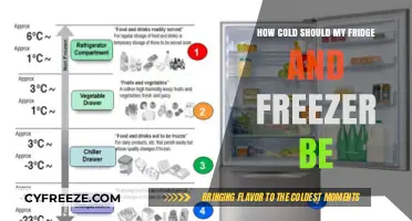 Chill Vibes: Optimal Temps for Your Fridge and Freezer