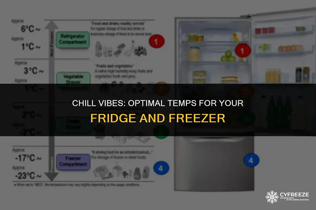 how cold should my fridge and freezer be