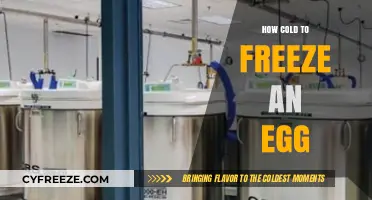 Chilling Science: The Exact Temperature to Freeze an Egg Successfully